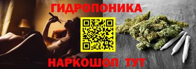 альфа пвп Заводоуковск