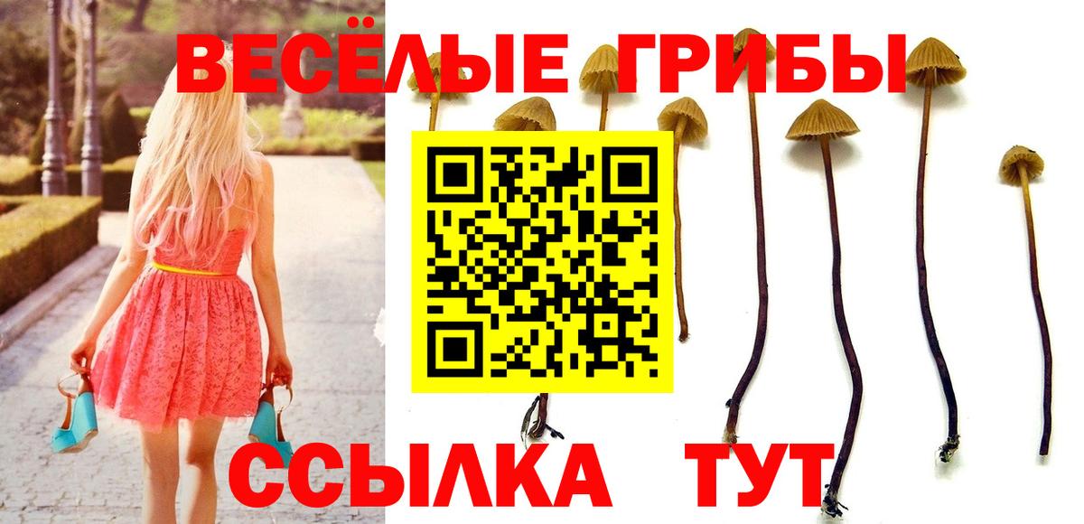 Галлюциногенные грибы мухоморы  Вход с VPN  Миасс 